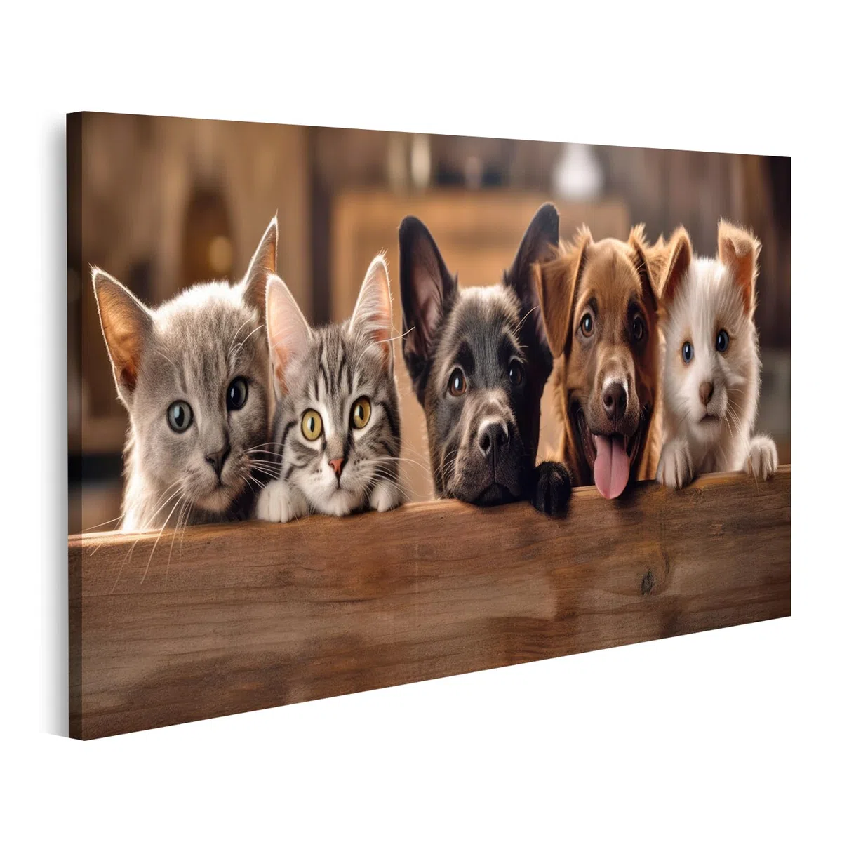 islandburner Bild auf Leinwand Glückliche Hunde und Katzen spähen über klare Holzrahmen in einem Petshop Banner Bilder Wandbilder Poster JERS-1K